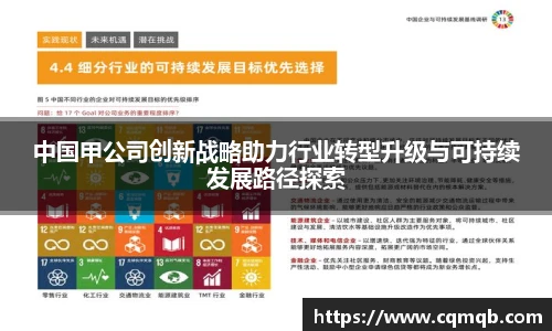 中国甲公司创新战略助力行业转型升级与可持续发展路径探索